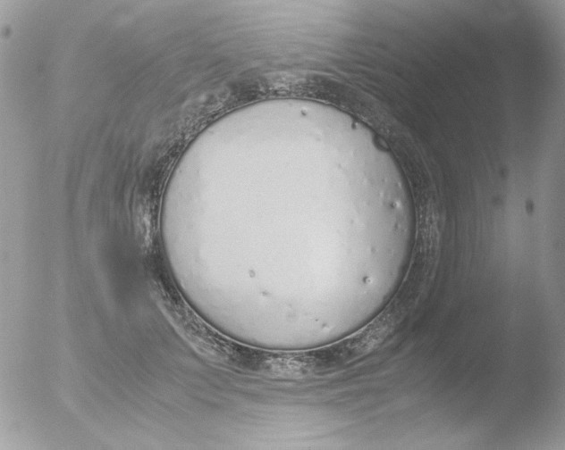 X0000051910703200507152031