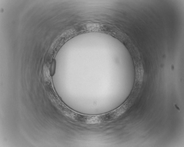 X0000051910705200507152031