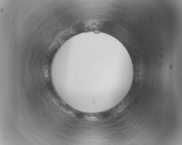 X0000051910706200507152031