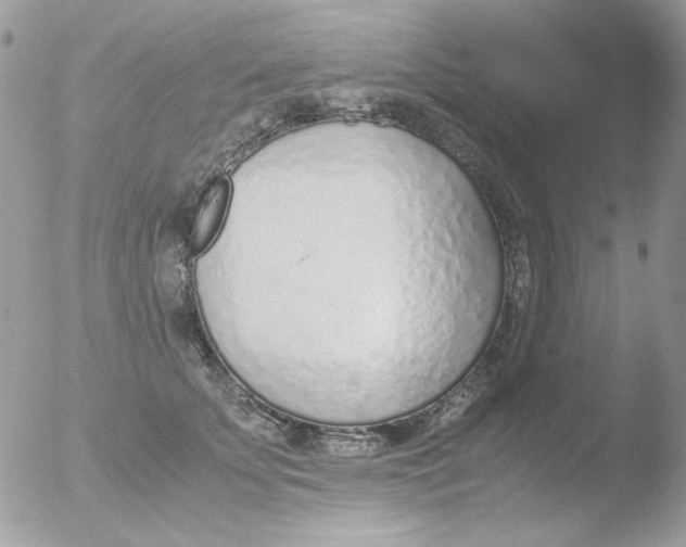 X0000051910707200507152031