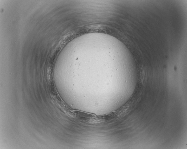 X0000051910708200507152031