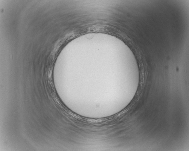 X0000051910709200507152031