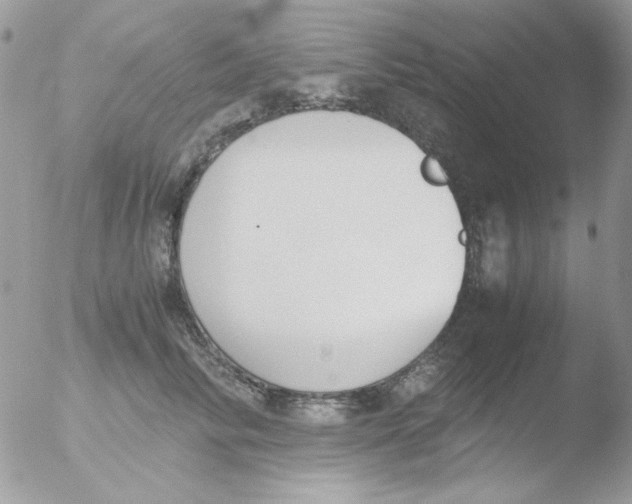 X0000051910710200507152031