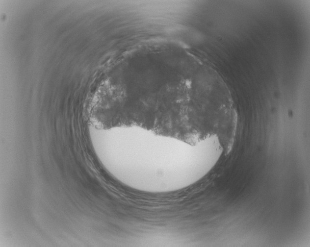 X0000051910711200507152031