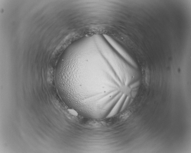 X0000051910712200507152031