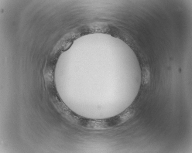 X0000051910713200507152031