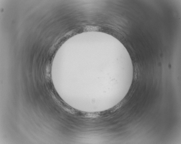 X0000051910714200507152031