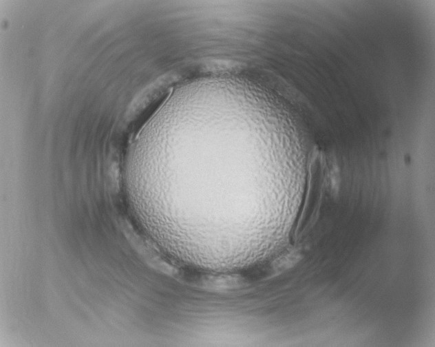 X0000051910716200507152031