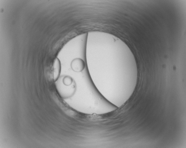 X0000051910719200507152031