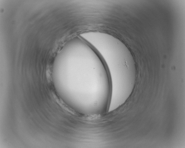 X0000051910720200507152031