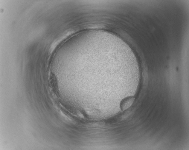 X0000051910721200507152030