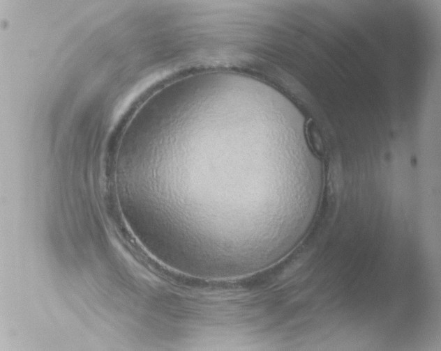 X0000051910722200507152030