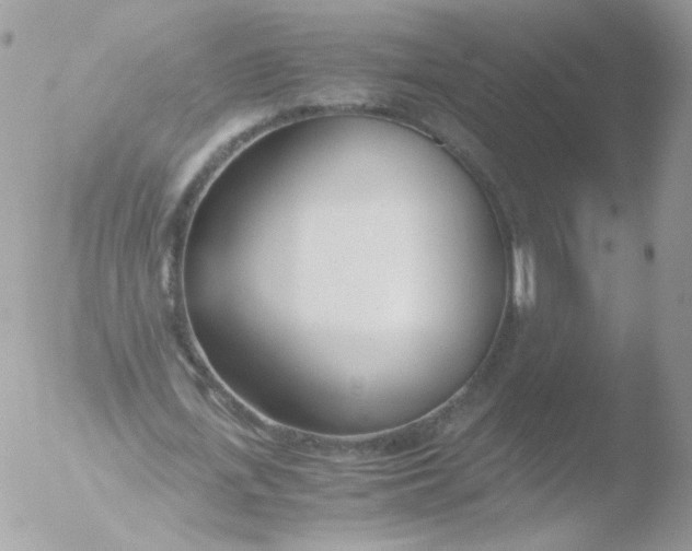 X0000051910723200507152030