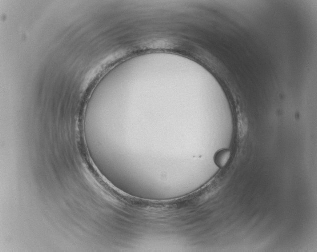 X0000051910725200507152030