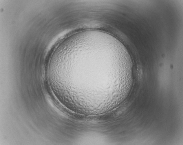 X0000051910726200507152030