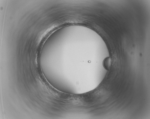 X0000051910727200507152030