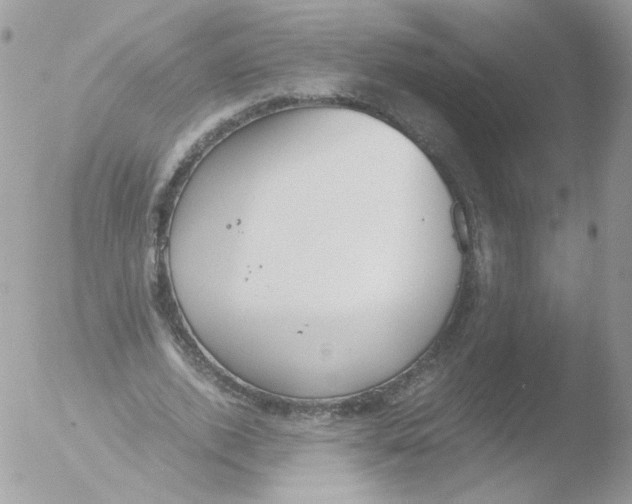 X0000051910728200507152030