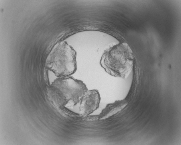 X0000051910729200507152030