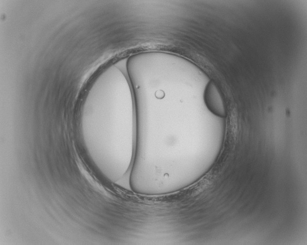 X0000051910730200507152030