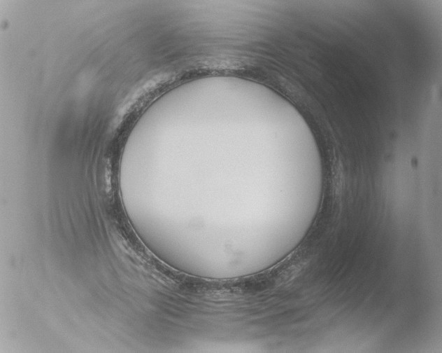 X0000051910731200507152030