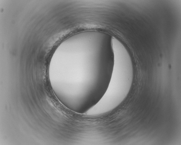 X0000051910732200507152030