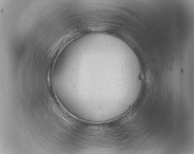 X0000051910733200507152030