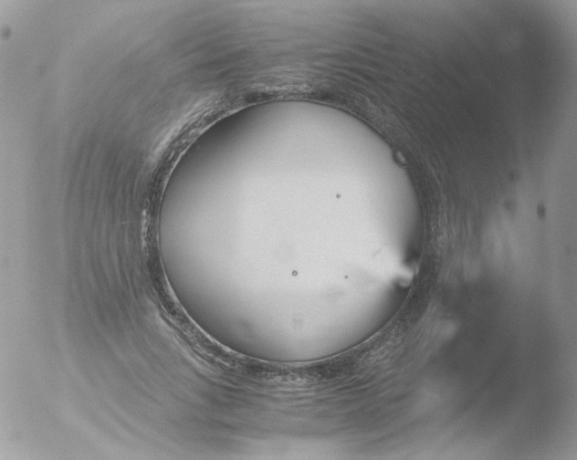 X0000051910735200507152030