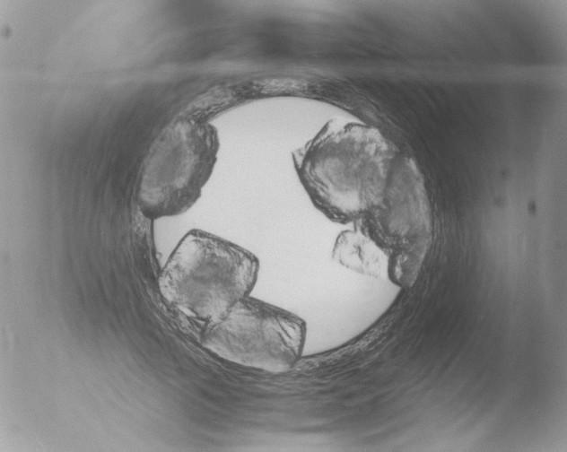 X0000051910737200507152030