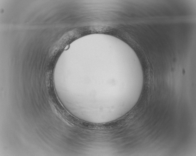 X0000051910738200507152030