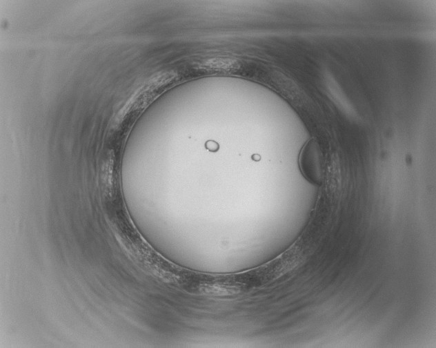 X0000051910739200507152030