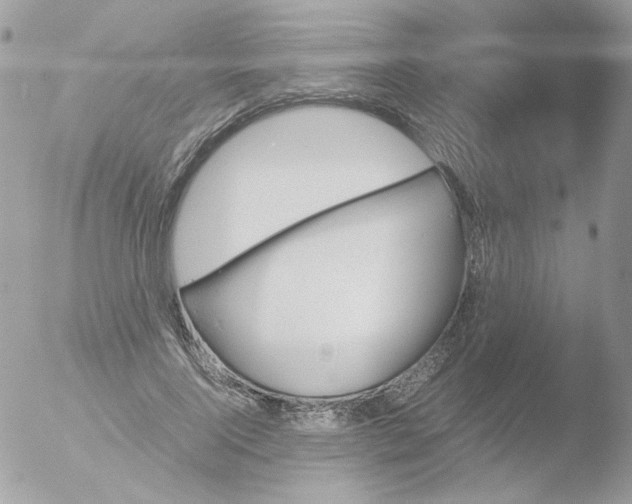 X0000051910740200507152030