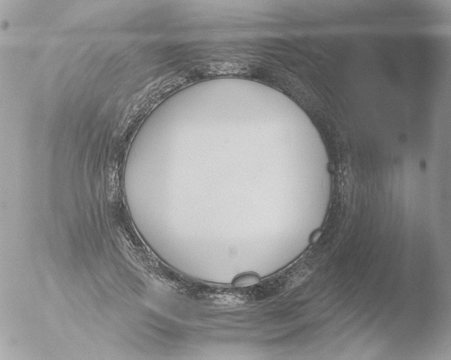 X0000051910741200507152030