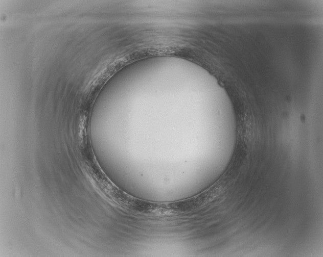 X0000051910742200507152030