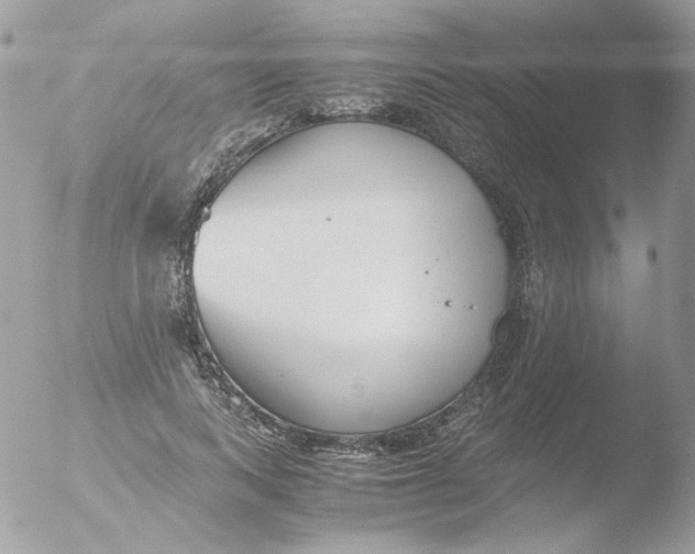 X0000051910743200507152030