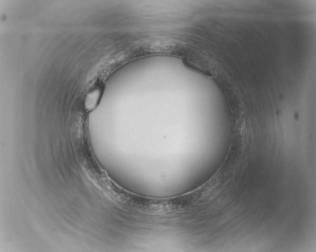 X0000051910744200507152030