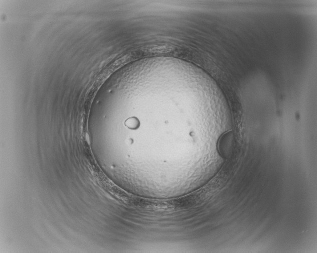 X0000051910745200507152030