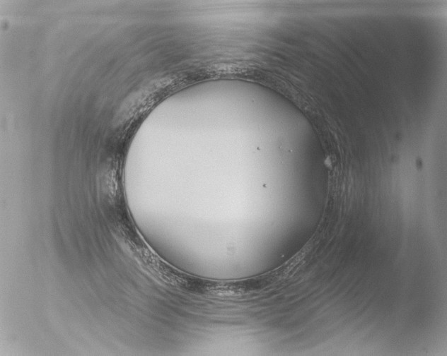 X0000051910746200507152030