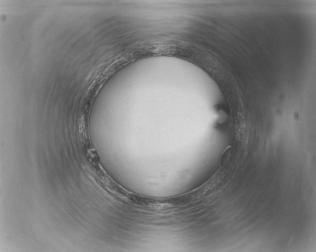 X0000051910748200507152030