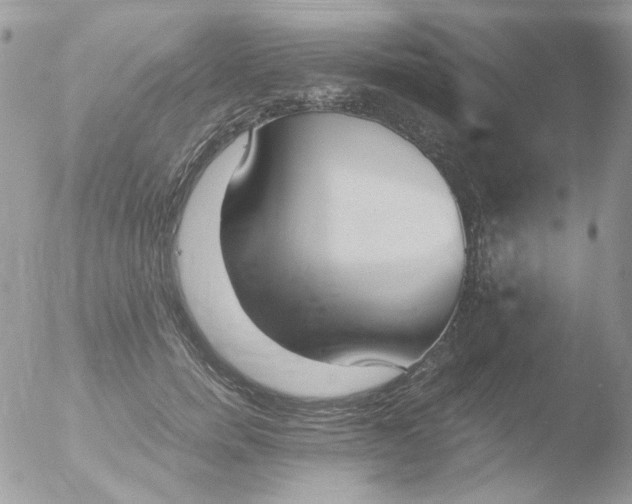 X0000051910750200507152030