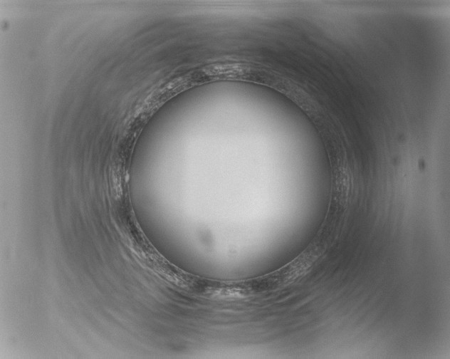 X0000051910751200507152030