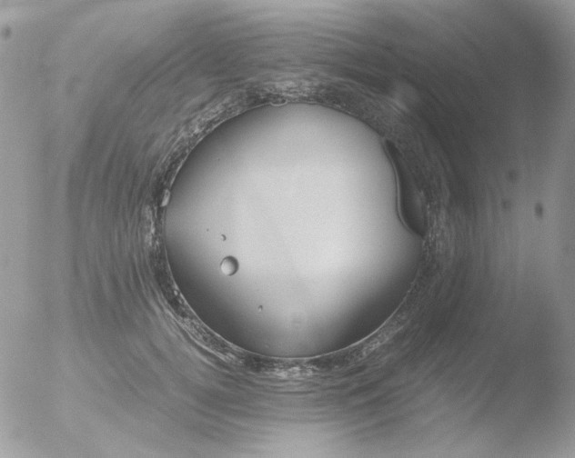 X0000051910752200507152030