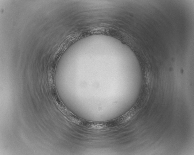 X0000051910753200507152030