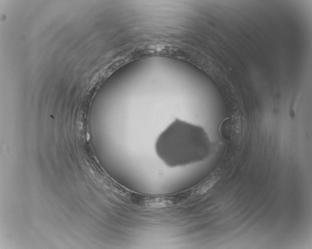 X0000051910754200507152030