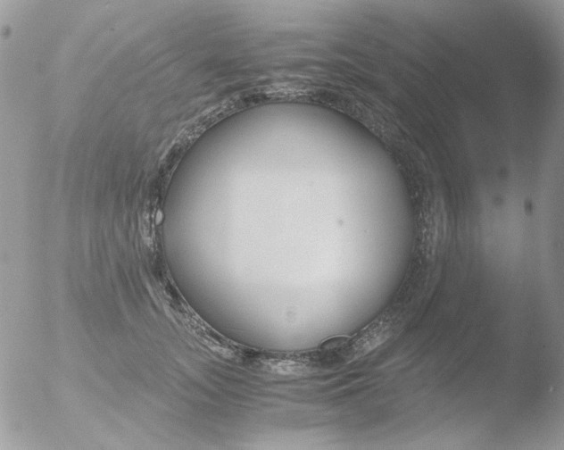 X0000051910755200507152030