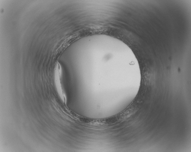 X0000051910756200507152030