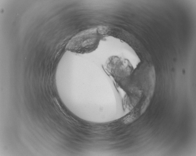 X0000051910757200507152030