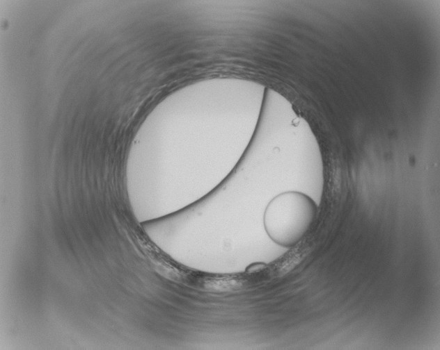 X0000051910759200507152031