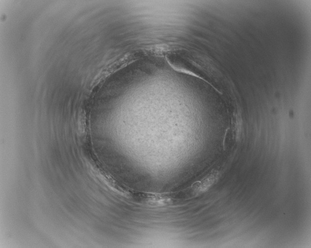 X0000051910760200507152031