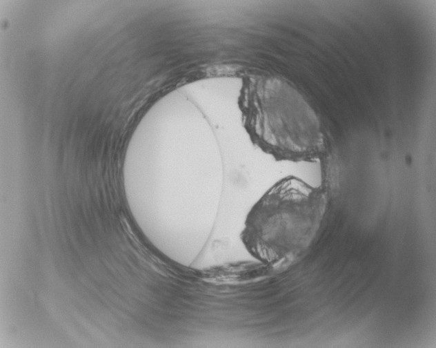 X0000051910761200507152031