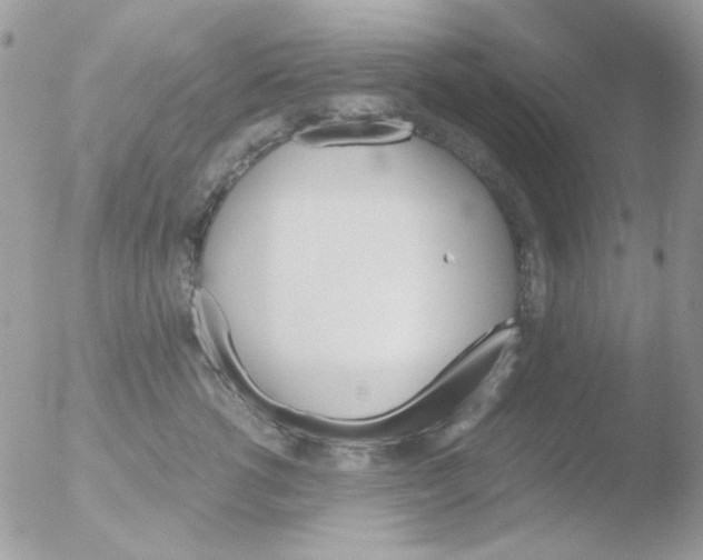 X0000051910762200507152031